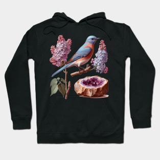 New York State Flora and Fauna - 19th Century Natural History Art Hoodie